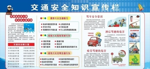 心肺復(fù)蘇與藥物過(guò)敏反應(yīng) 關(guān)鍵急診操作規(guī)程及急救資料獲取